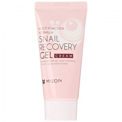 Купить Mizon Multi Function Formula Snail Recovery Gel Cream Киев, Украина